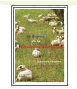 le roman de notre révolution numérique